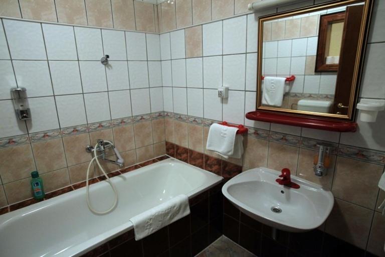 Hotel Dunav Sremski Karlovci Pokój zdjęcie